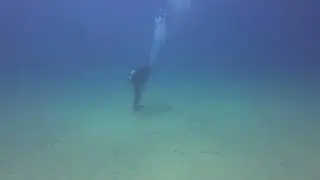 Scuba Diving at Chowder Bay &ndash; Sydney&rsquo;s Muck Diving Paradise