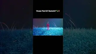 Ever seen a virus DESTROY bacteria? 😱 #Bacteriophage #Microbiology #ViralAttack #Shorts