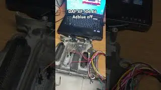 DAF XF-106 E6, программное отключение присадки adblue and egr dpf 0684442115