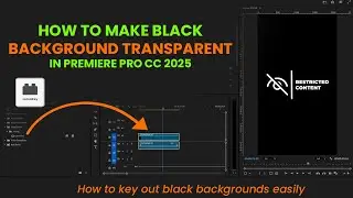 How to make black background transparent in premiere pro cc 2025 | Anil Shebe