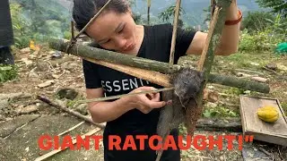 ✅Unbelievable! My DIY Bamboo Trap Actually Worked &ndash; Giant Rat Caught!&rdquo;