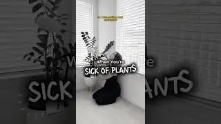When You&rsquo;re SICK OF PLANTS #plants #shorts #philodendron #houseplants #plantcare #unboxing #tips