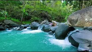 Peaceful Water Flow in Green Forest, Relaxing River Sounds, Nature White Noise for Sleep Aid