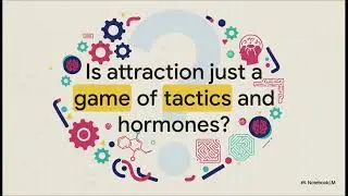 The Modern Maze of Attraction by Erokhane via NotebookLM