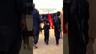 Arbaeen Juloos Procession | Karachi 2025/1447 | #shia #shorts #arbaeen #juloos #chehlum
