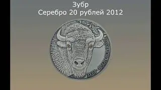 Зубр 20 рублей 2012 Серебро #BelCoinArt антик-финиш #Беларусь #Обзор #Монета