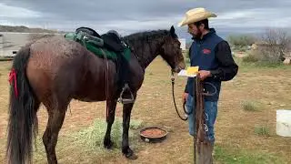 Land of the Sun Endurance Ride 3-2019, Paloma update