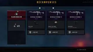 Reprise manches 100 IX bo4 avec double xp
