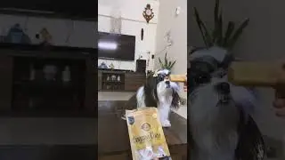 Dogsee Dog Treats | 100% Natural & Healthy Treats