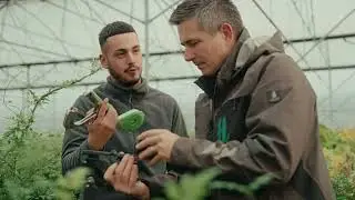 Hauenstein AG Einblick in den Alltag eines Baumschulisten in unserer Container-Baumschule