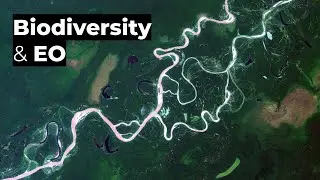 Applications of satellite technology in biodiversity conservation