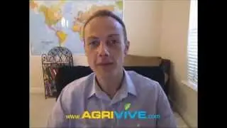 Corn Dealer, Maize, US Corn Crop, Farming Corn, Corn Crop Rotation, Corn Relief, Agriculture Corn