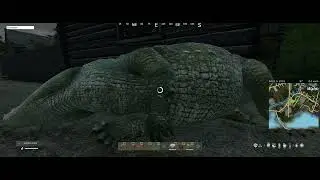 Crocodile Kisses