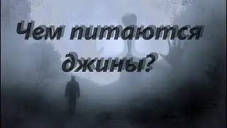Джины чем питаются? Сравнительный анализ людей, джинов и ангелов. Выводы.