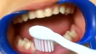 Happy Tooth Song