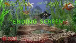 🐸ONLINE ADVICE SHOW🐸!CALL 202-935-0688🐸FOR FREE HELP🐸300 BIT TTS🐸FREE HELP ONLINE🐸