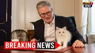 Keir Starmer Introduces Adorable New Kitten to Downing Street Family