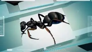 Pest Control Mesa AZ - (888) 458-0008