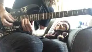The Killing Road by Megadeth - Solo