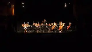 Montenegro Summer Camp for Chamber Music 2018: W.A.Mozart Symphony No  29 K 201