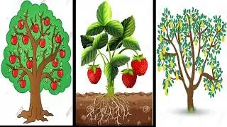 Descubrimiento y Comprensi&oacute;n del Medio Natural y Cultural