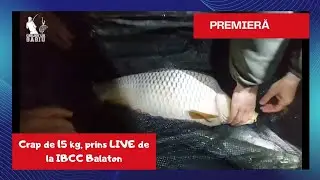 PREMIERĂ în România: Cârligu' lui Gagiu a prins LIVE un crap de la IBCC Balaton cu un drill de 500 m