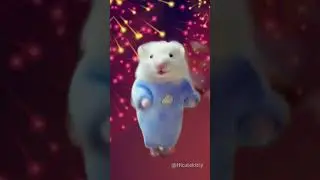 Cute rat dance 💃 😍❤️ #funny #cute #dance #love