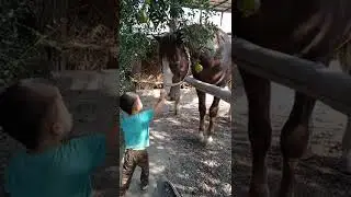 Король👑 бокувдан чикди
