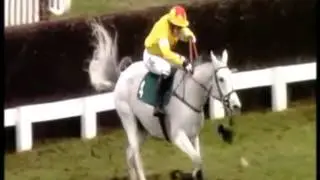 Neptune Collonges - Winning in 2011 at Cheltenham.