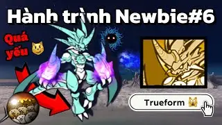 Hành Trình Newbie #6: Đánh Bại Boss Dễ Nhất ITF 😁