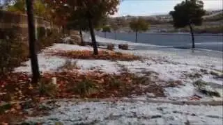 SNOWY MURRIETA