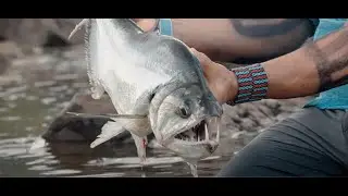 XINGU: Fly Fishing for Vampirefish and Exotic Species in the Amazon