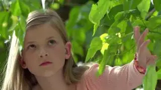 Самое красивое видео  Яркие моменты  Природа  4К UHD