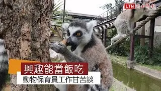興趣能當飯吃 動物保育員工作甘苦談