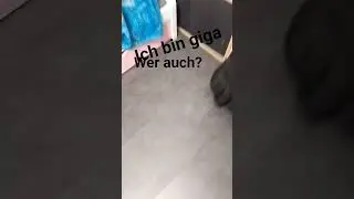wer ist auch so giga?