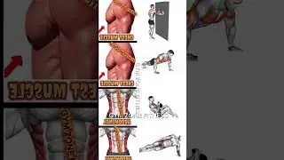 chest ABS full body workout and gym fitness 💯#trending #motivation #viral