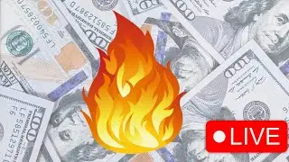 ALTCOIN SEASON &bull; EVERYTHING ON SALE!! $ZUKI &bull; $SHIBNOBI &bull; $TZKI 💰📈
