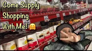 Vlog: Come Supply Shopping With Me | I Am Fee Tv
