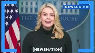 «Враждебное сопротивление» со стороны демократов Миннесоты привело к стрельбе в Алекса Претти: Ли...