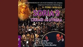 Virgen de la Paz (En Directo)