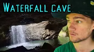Lovely rainforest walk into Glow-worms cave