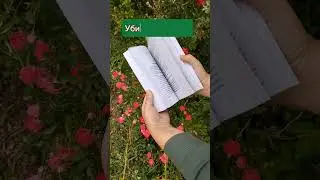 А вы читали? #книги #книгинаосень