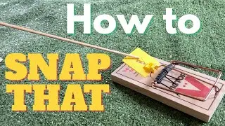 How to Set a Rat Trap (Victor Wide Pedal)