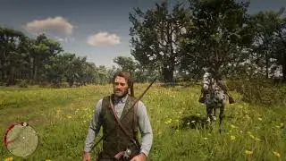 Low Honor Cheat (Decrease Honor Level) - Red Dead Redemption 2 Cheats