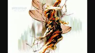 download Sorcear