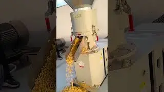 WA: +8615638451357     pellet machine production line, ring die pellet machine,