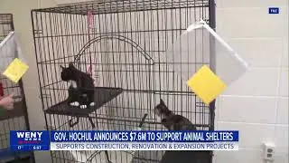 Gov. Hochul announces $7.6M to support animal shelter improvements statewide