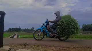 KUMPULAN LAGU HITS POP 2000-AN || LAGU INDONESIA HITS BUAT SANTAI & NGOPI | Top Playlist Coffee Shop