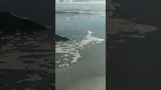 Snow Day In Atlantic City!