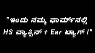 &ldquo;Ear Tagging & HS Vaccination Made Simple!&rdquo;